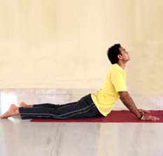 Yoga Asana – Cobra Posture