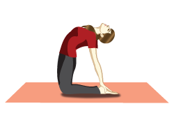 Yoga asana to boost digestion naturally