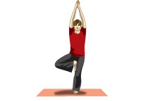 TRee pose