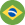 Circular Brazil Flag