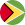 Circular Guyana Flag