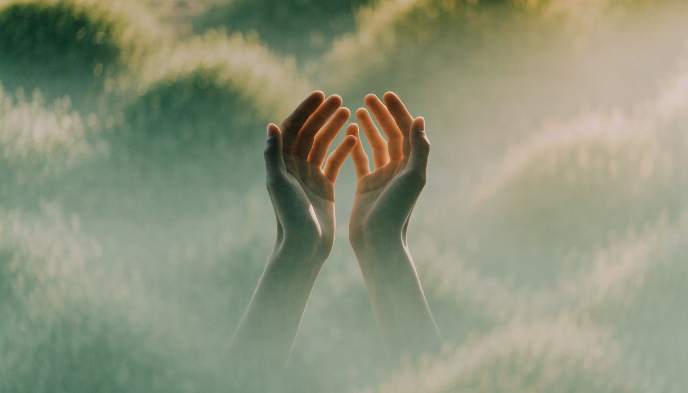 Two open hands catching soft morning light