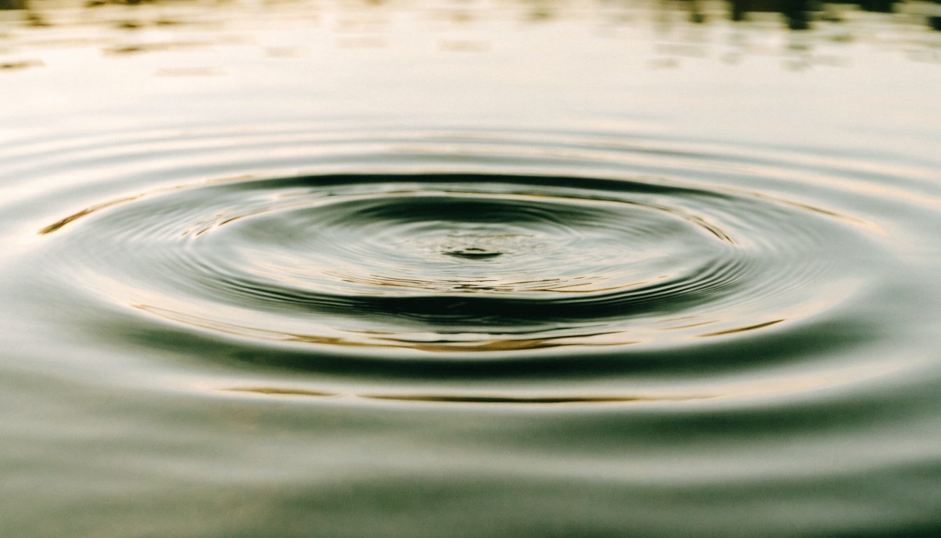 Circular ripples spread from a point across still water