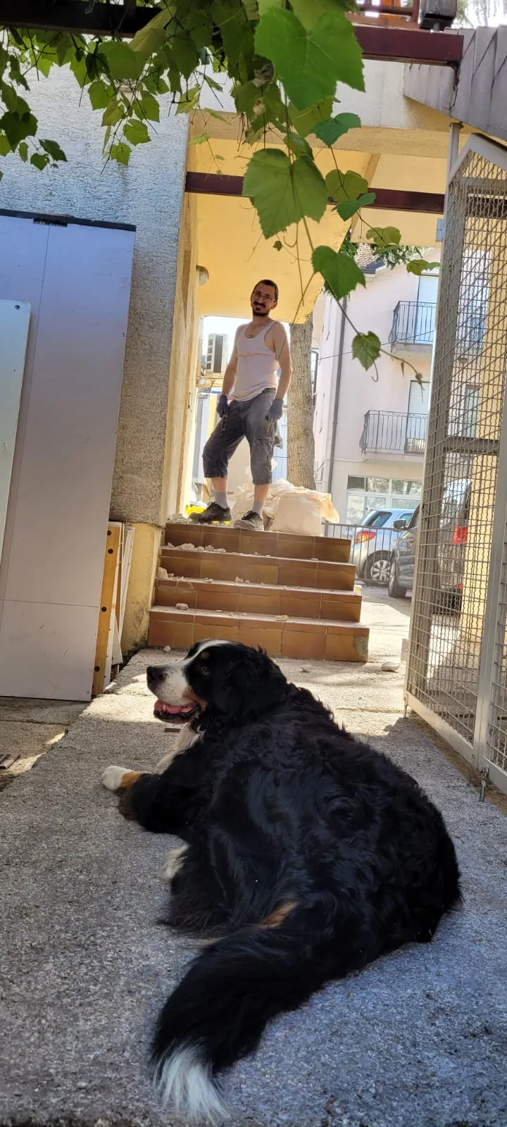 A woman sits on a couch, eyes closed, holding a mug, bathed in sunlight. Representing calm and relaxation from a deep sleep and anxiety relief course