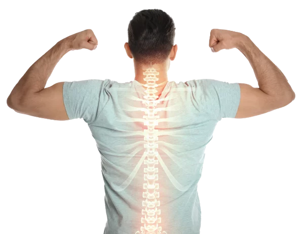 Know your Spine