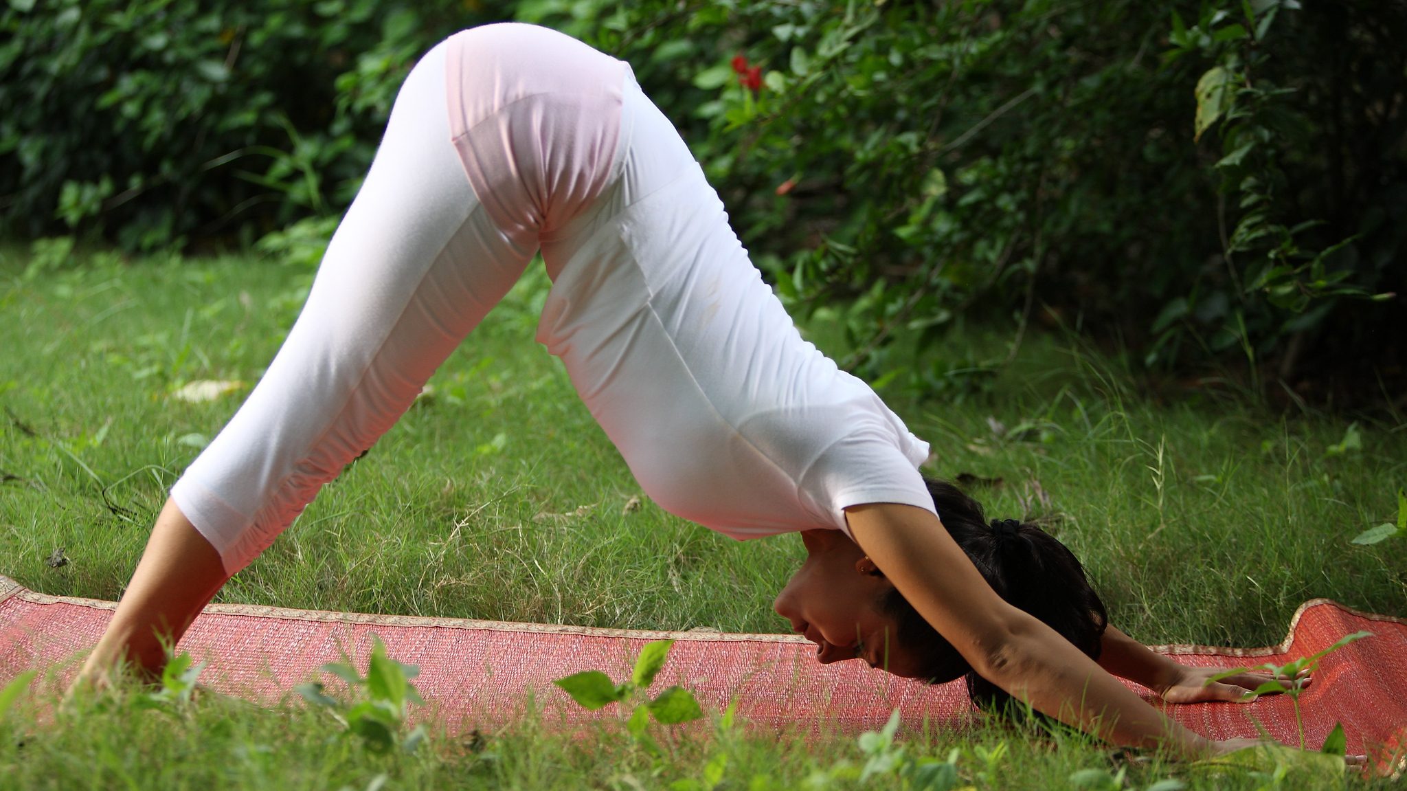 Yoga_yoga for Working Women_Adho mukha svanasana