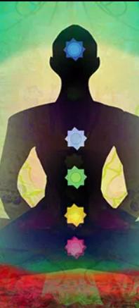 wisdom kundalini chakra