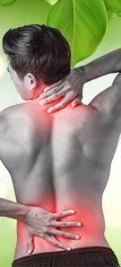 Ayurveda for back pain relief