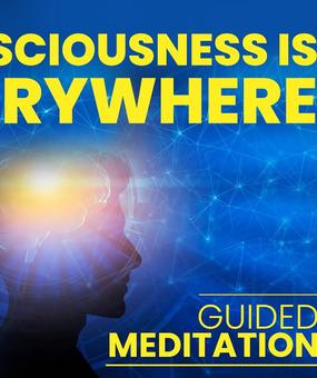 MFH_3_Consciousness Is Everywhere - Guided Meditation in English and Hindi by Gurudev