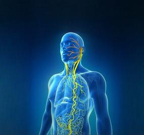 ways to stimulate vagus nerve sudarshan kriyaa