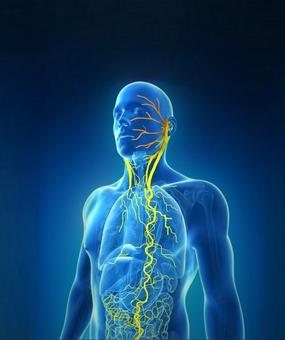 ways to stimulate vagus nerve sudarshan kriyaa