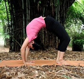 chakrasana wheel pose