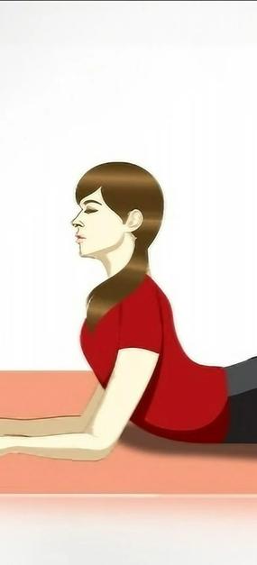 Salamba bhujangasana sphinx pose yoga