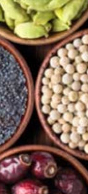 Ayurvedic top herbs _ spices