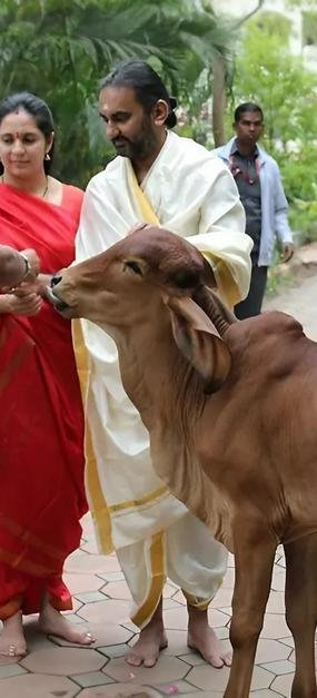 ayudh puja