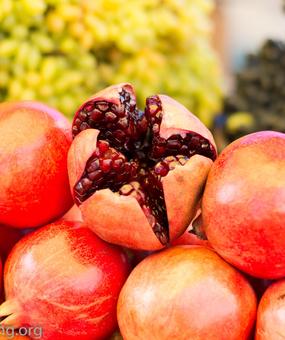 Fruits