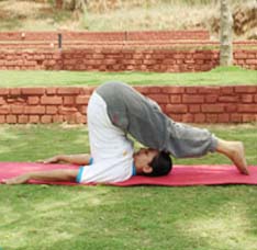 Yoga Asana – Plough Posture
