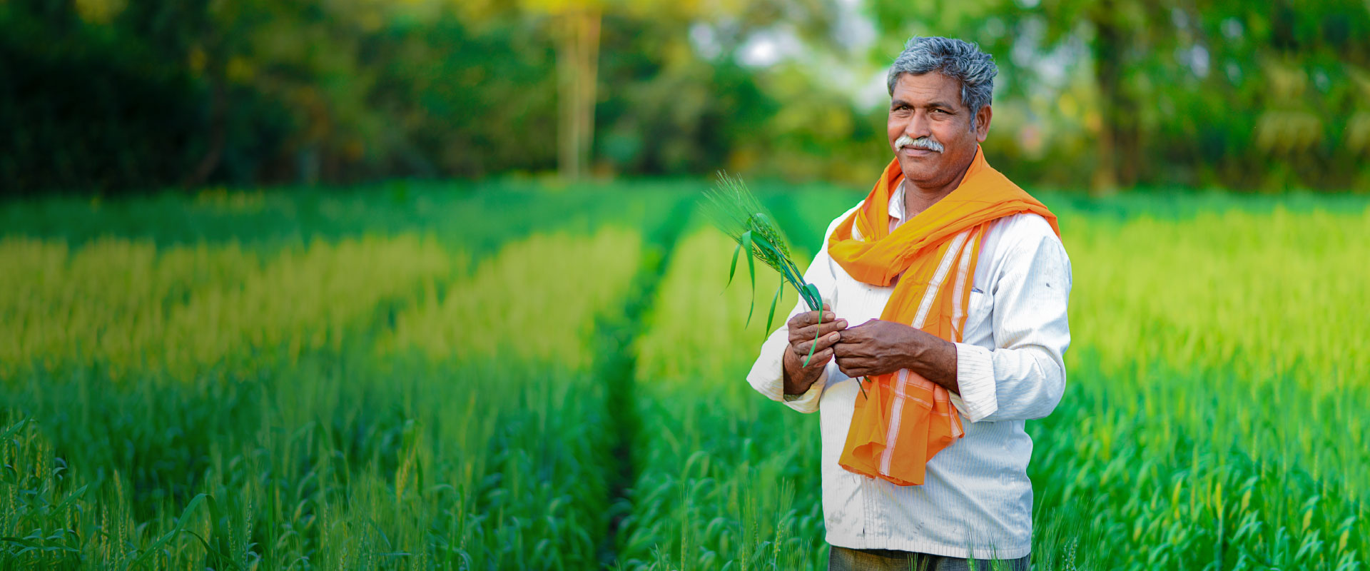 Natural farming | The Art of Living India