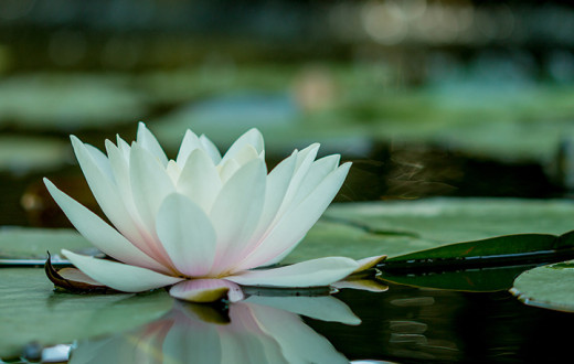 Curso de meditação