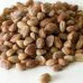 Piyal seeds