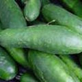 Cucumber