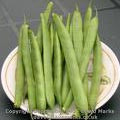 French beans