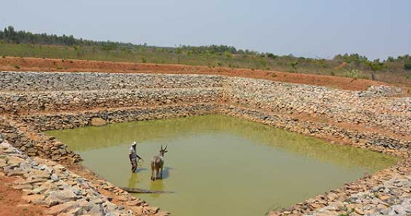 River Rejuvenation Rejuvenation Water Rejuvenation Of River The Art Of Living India Learn vocabulary, terms and more with flashcards, games and other study tools. river rejuvenation rejuvenation water