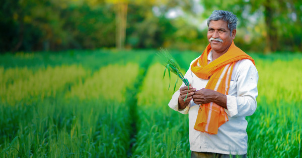 Natural Farming The Art Of Living India