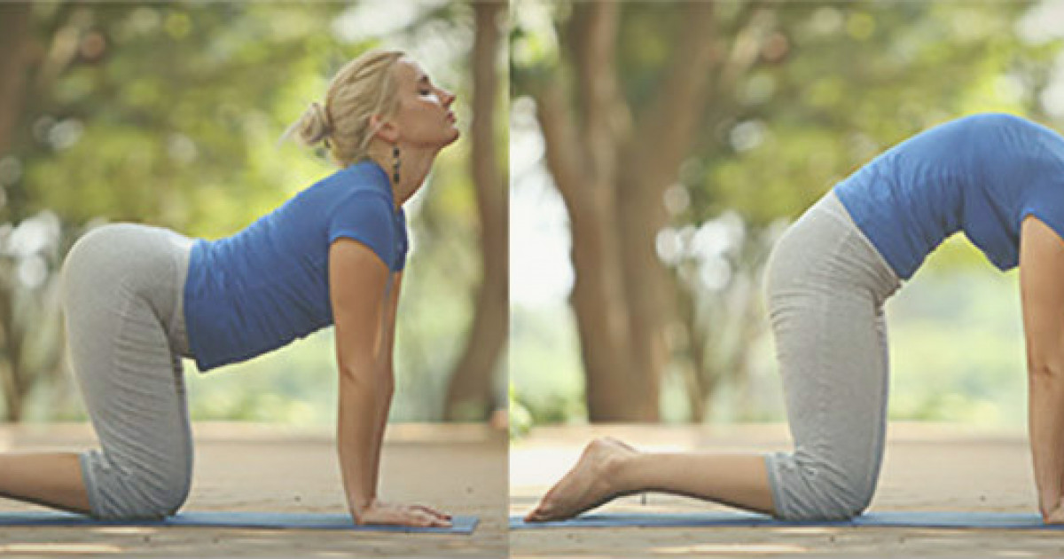 Cat Cow Marjaryasana Bitilasana The Art Of Living
