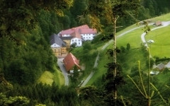 Art of Living Bad Antogast