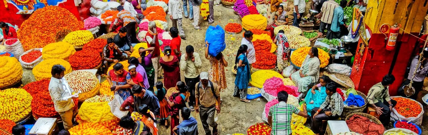 India-Market