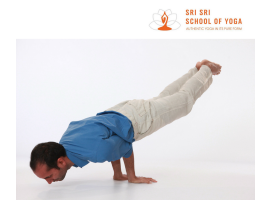 Sri Sri School of Yoga Teacher Training Mayurasana