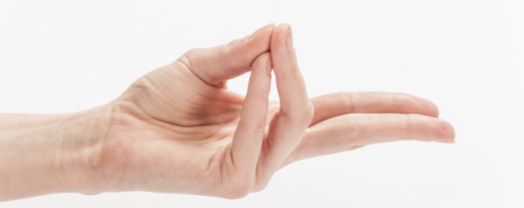 pranam mudra