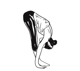 Hastapadasana (Standing forward bend)