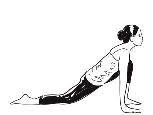 Ashwa Sanchalanasana (Equestrian pose)