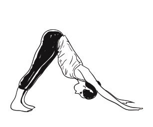 sun salutation yoga pose - Adho Mukha Svanasana (Downward facing dog pose)