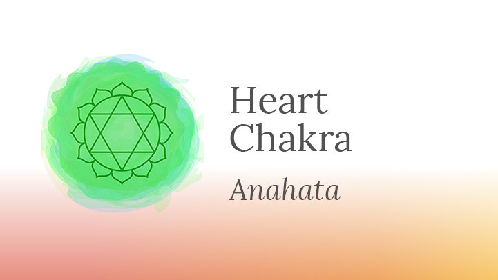 Chakras In The Body A Beginner S Guide To Raising Your Energy The Art Of Living Concluding meaning of the word svadhishthana, 2nd chakra is all about making you realize your identity as a it is placed directly above the navel also associating itself with your digestive system. raising your energy