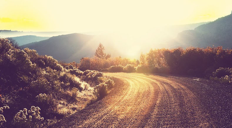 отзывы о курсах \