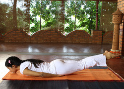 shalabhasana, locust pose, lying down yoga pose, shalabha asana