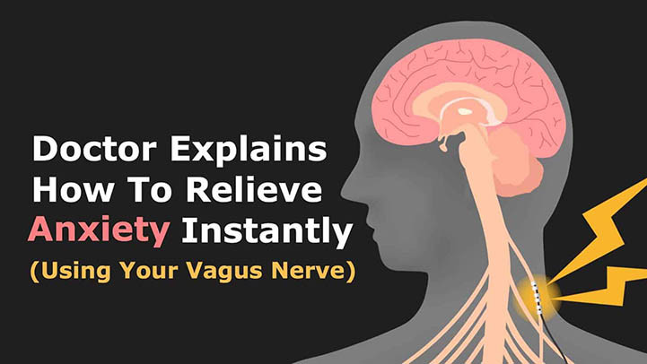 The Vagus nerve and how important is it to my overall Health?