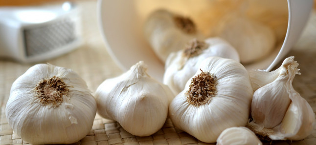 garlic in hindi