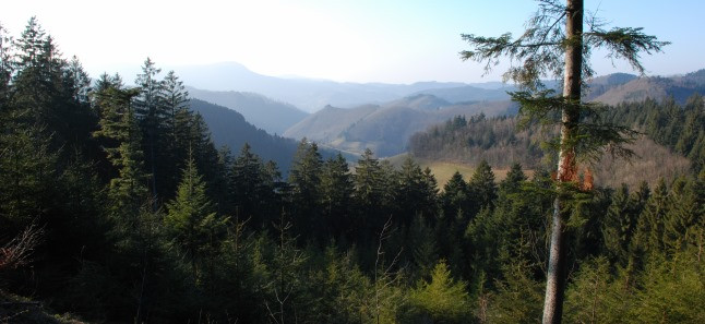 Stille Retreat Bad Antogast Schwarzwald