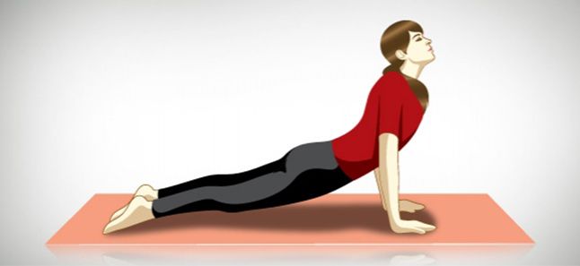 Image result for ऊर्ध्व मुख शवासन (Upward facing dog):