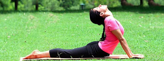 Lying on Back Yoga Asanas  Lying on Back Yoga Poses  Yoga Poses by Lying  Down on Back  The Art of Living India