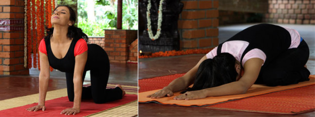 Mit Yoga Übungen Körperhaltung verbessern