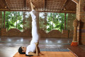 Sarvangasana Yoga Pose - Shoulder Stand Yoga Pose 
