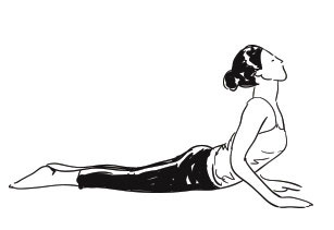 Bhujangasana