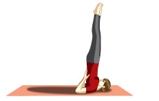 Half Shoulder stand