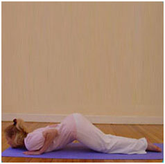 Surya Namaskar / Sun Salutation Step 6 Ashtanga Namaskara