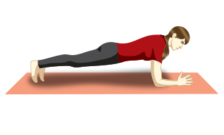 Ardha Pincha Mayurasana (Dolphin Pose)